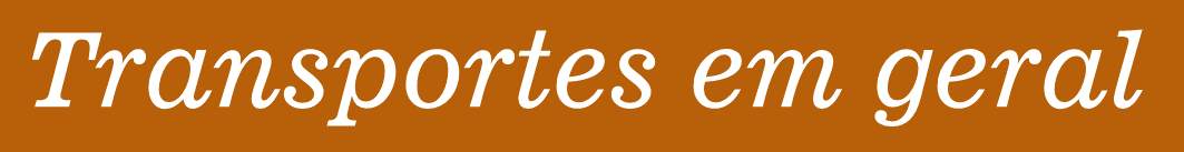 Transcol Itabirito  (10).png